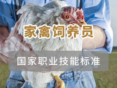 家禽饲养员