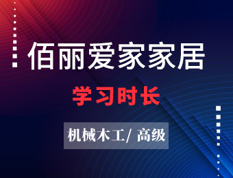 佰丽爱家家居 机械木工（高级)
