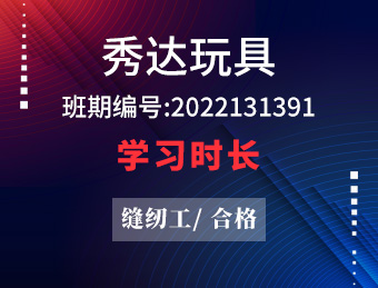 秀达玩具【合格】2022131391