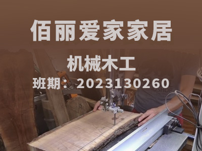 佰丽爱家家居【初级】2023130260