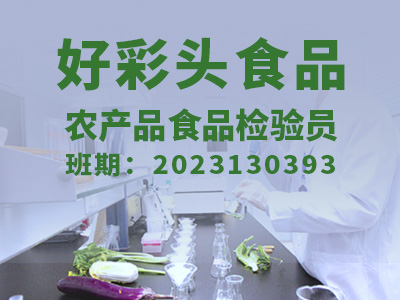 好彩头食品【高级】2023130393