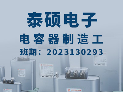 泰硕电子【高级】2023130293