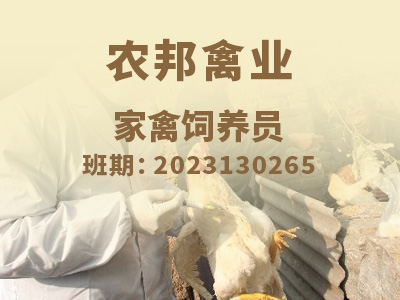 农邦禽业【初级】2023130265