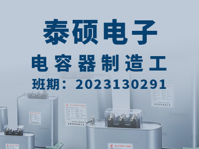 泰硕电子【高级】2023130291