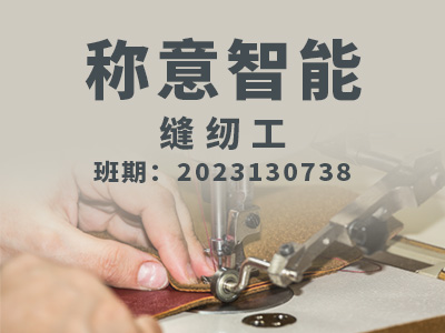称意智能【高级】2023130738