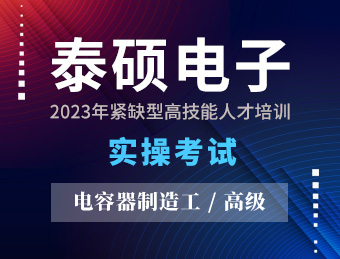 泰硕电子【高级】2023130694  2023130691