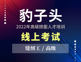 豹子头 【高级】 2022131493