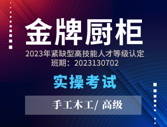 金牌橱柜【高级】 2023130702