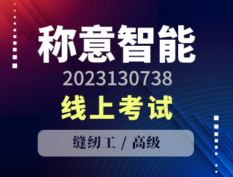 称意智能【高级】2023130738