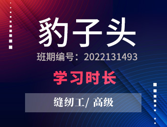 豹子头 缝纫工【高级】 2022131493