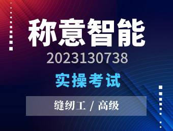 称意智能【高级】2023130738
