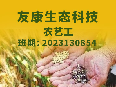 友康【高级】2023130854