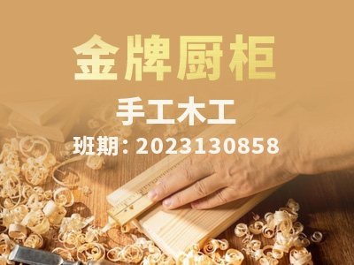 金牌橱柜【高级】2023130858