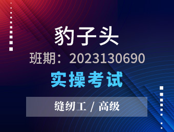 宿迁豹子头科技股份有限公司缝纫工高级2023130690影像资料
