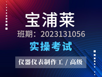 江苏宝浦莱半导体有限公司仪器仪表制造工高级2023131056影像资料