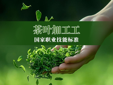 茶叶加工工