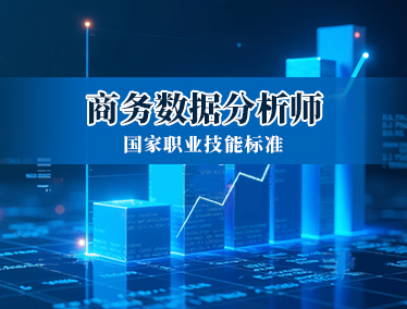 商务数据分析师